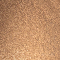 Slim ., Metallic Coated STRAIGHT FIT  indian tan coated 269C